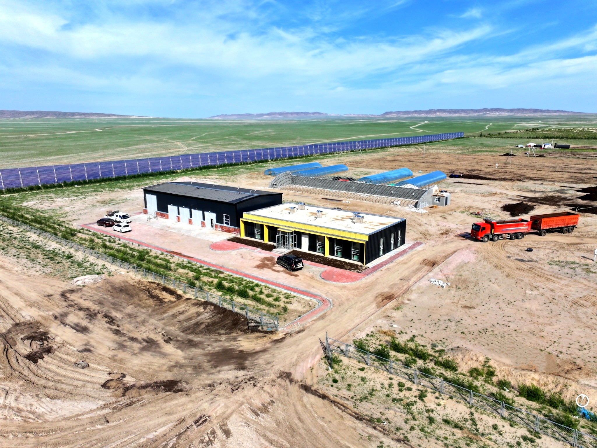 One Million Tons – One Million Trees